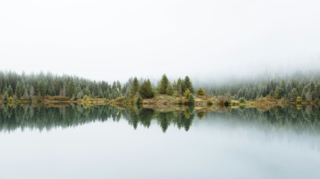 person reflecting in nature